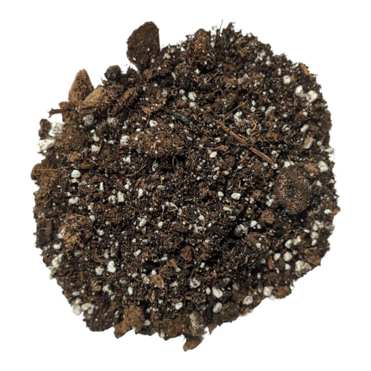 BuildASoil Heady Start Seedling Soil Recipe
